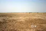 Jameen bechan hai