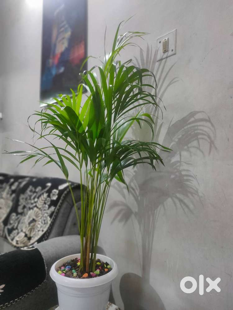 This is a independent house with  1 bed room 1 hall 1 wash room.