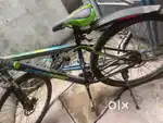 Cosmic 29 Maze Bicycle