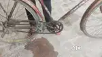 Best cycle new one day