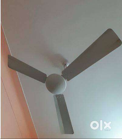 Celling Fan (Cromton Jura Prime)