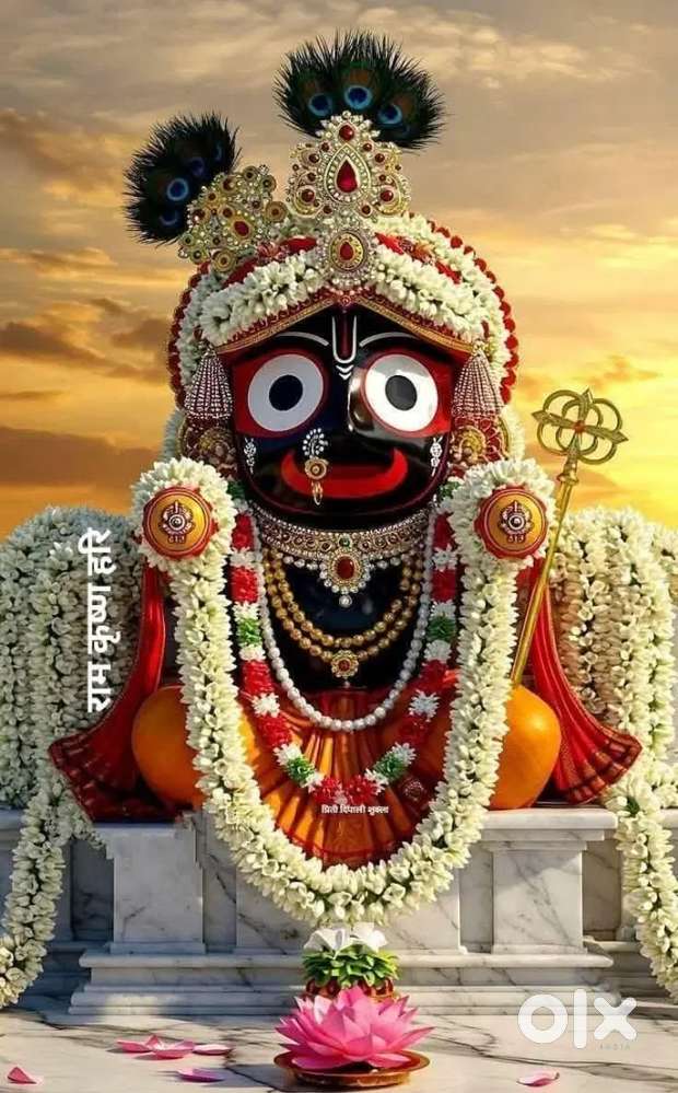 Graphic designer in Photoshop, Corel, DTP etc