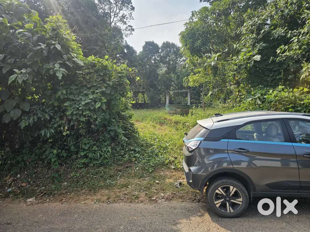 House plot for sale at Adoor