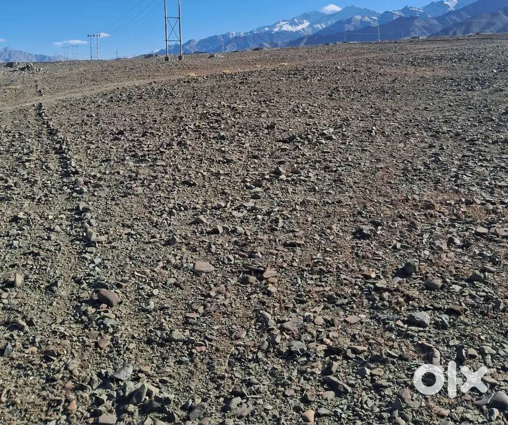 Land for sale at stok thang