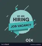 Office admin, accountant, logistics