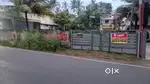 Plot for sale 6 Cent മഞ്ചാടി, തച്ചോട്ടുകാവ്