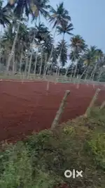 Pollachi nearly agriculture property sales