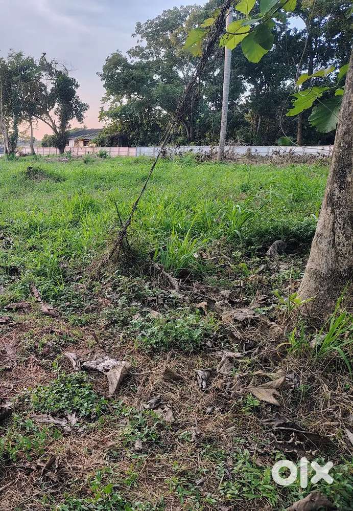 15 cent house plot at chalakudy potta