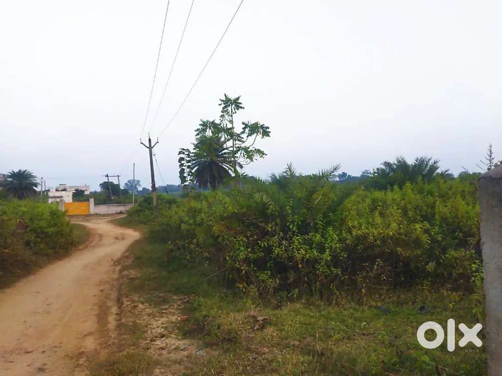 5 Decmil sector 5 Parsabera DPS Sector 5