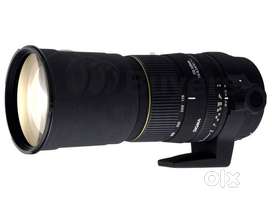 SIGMA 170-500 LENS