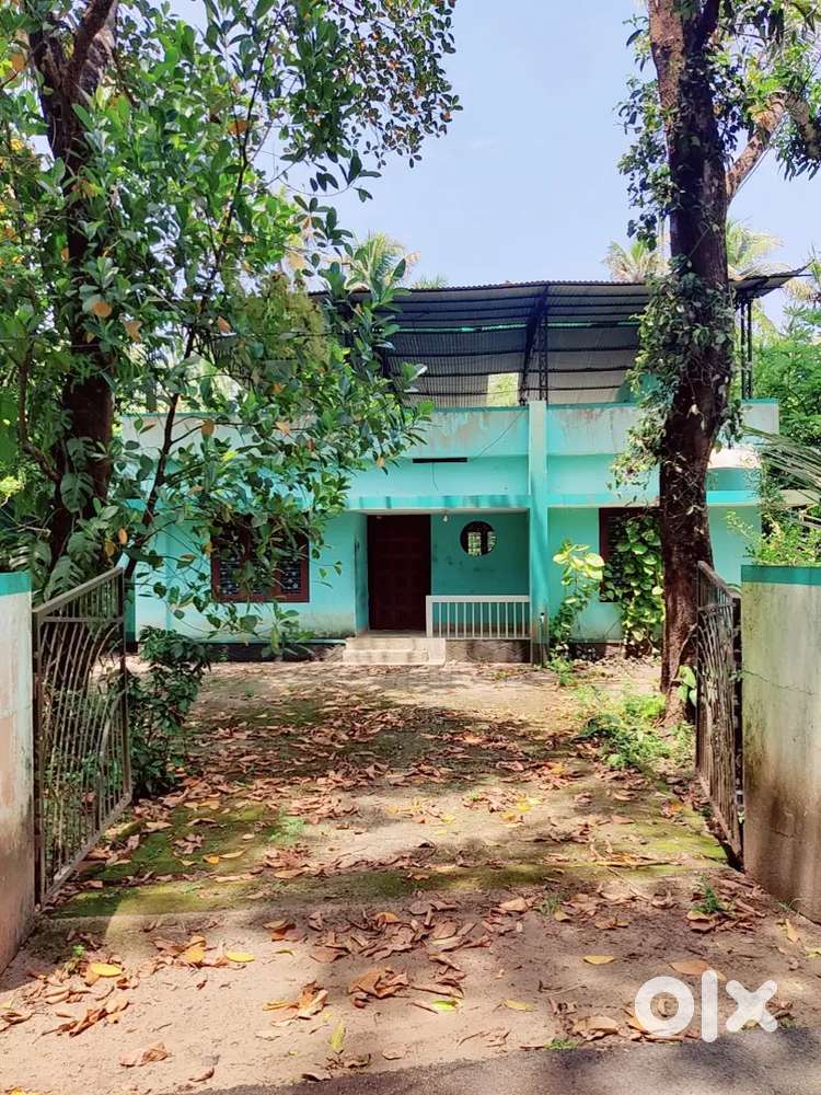 3BHK Home in 10-cent plot for sale for 41Lac!!!