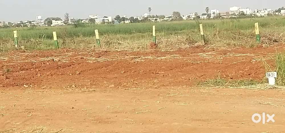 Closing offer open plots Available near to Pathapadu