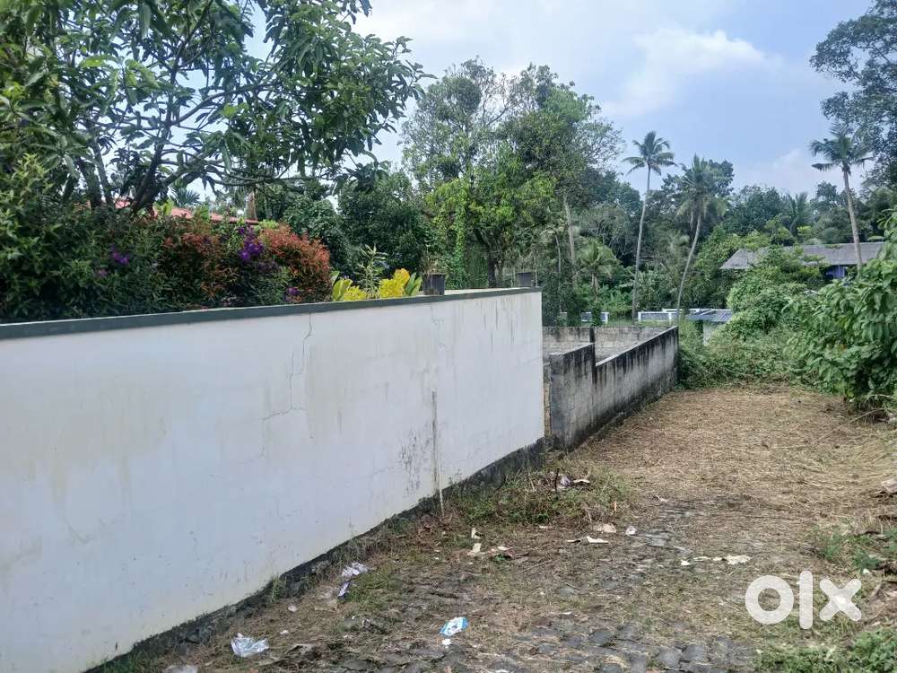 5.6 cent thiruvankulam main road 200 mtr