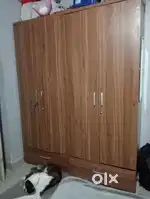 It's double door wardrobe in shade brown ,price is negotiable