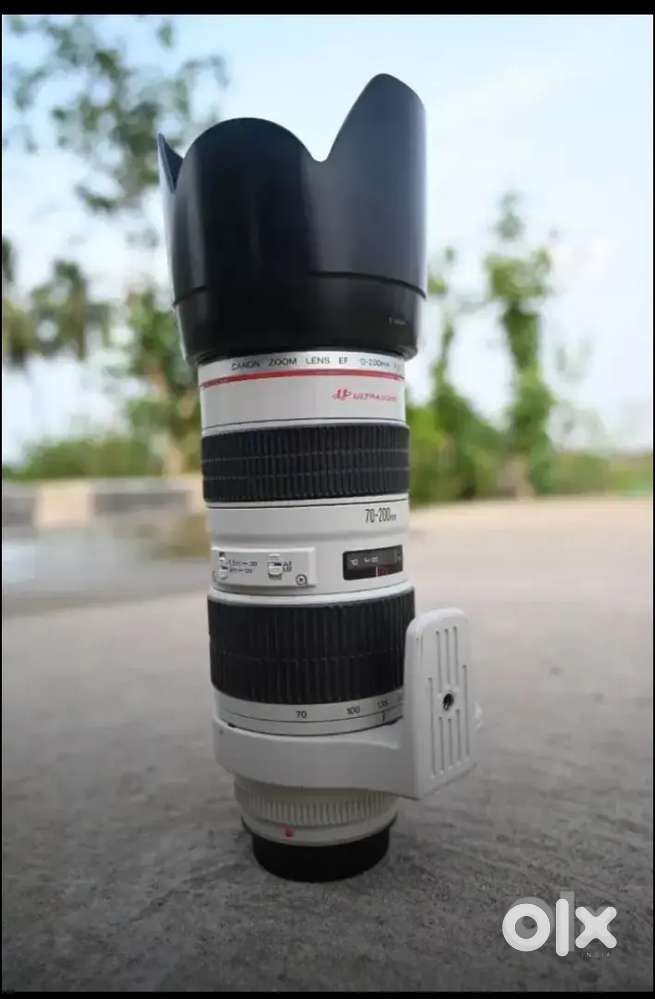 Canon 70-200 Lens