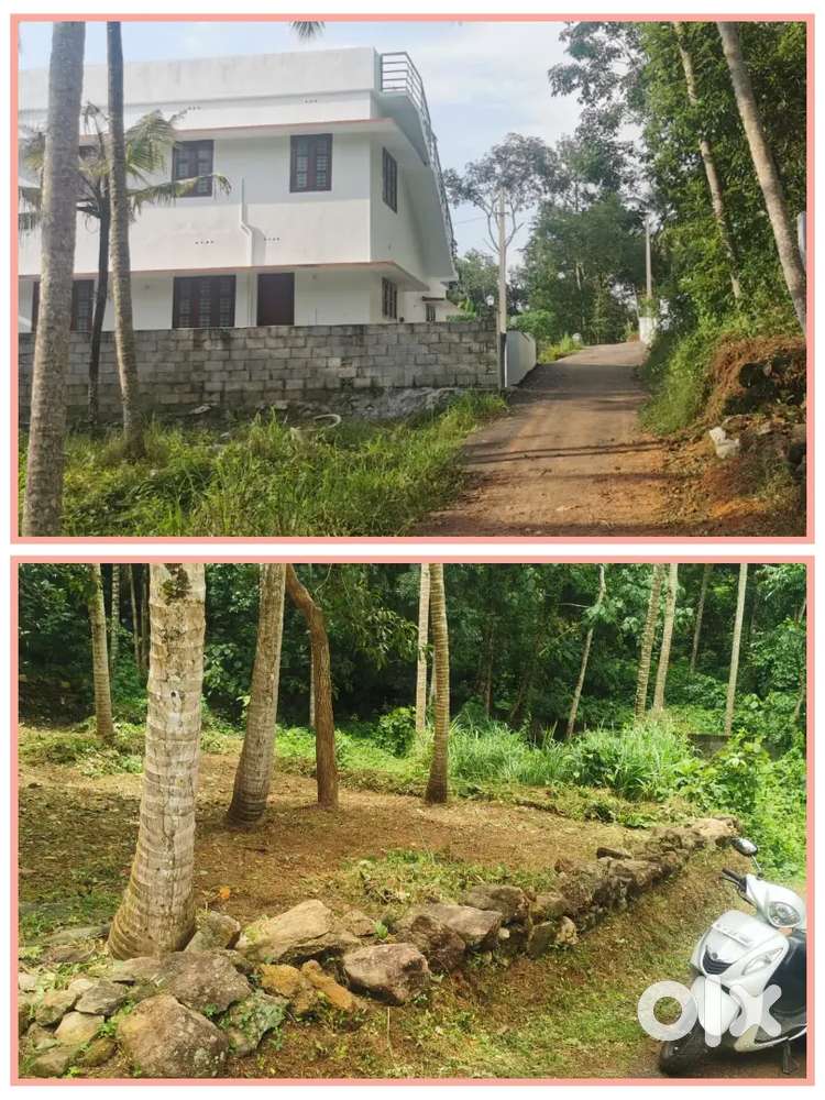 13 cent plot for sale at peyad peruvikonnam puliyarakonnam