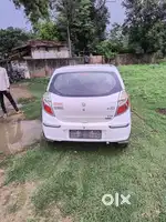 Candisan Mst hai