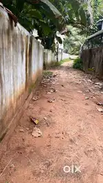 6.75 cents of land for sale at vallikeezhu.500 mtrs away from NH