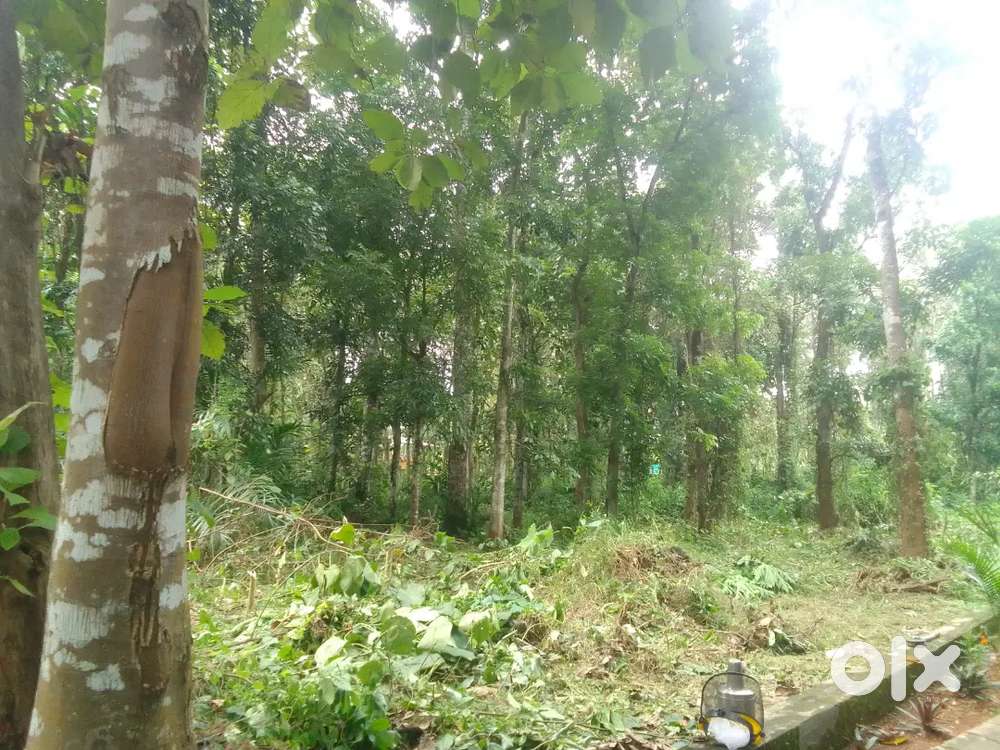 28 cents for sale at Thumpamon, Pandalam