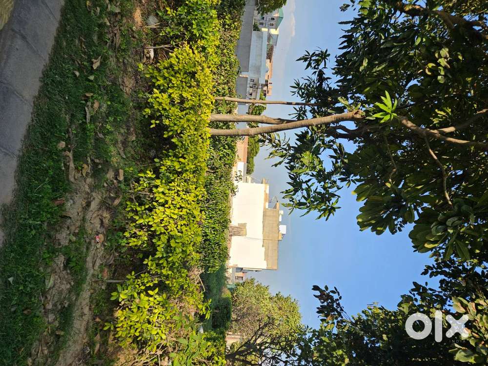 500 Sqyards Plot For  Sale in Omaxe New Chandigarh.