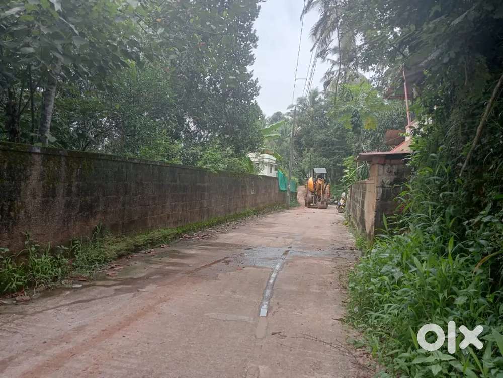 Residential plot at vetikonam vazhayila