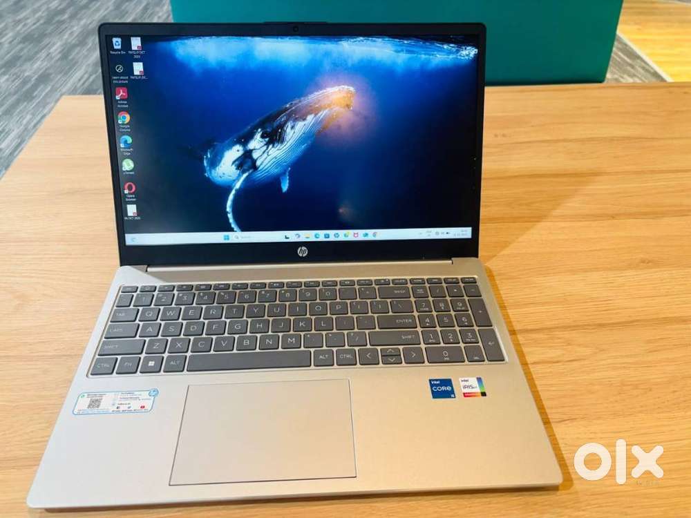 HP Intel Core i5 13th Gen 1334U - (16 GB/1 TB SSD/Windows 11 Home)