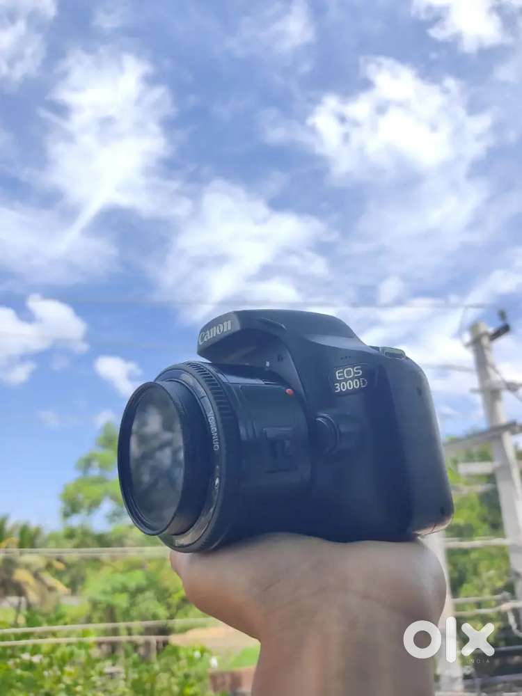 Canon EOS 3000D // Prime lens 50mm