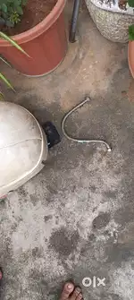 V-Guard geyser