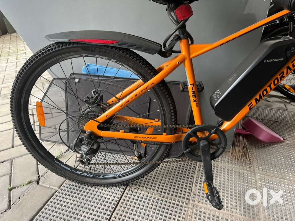 E-Motorad T-Rex model