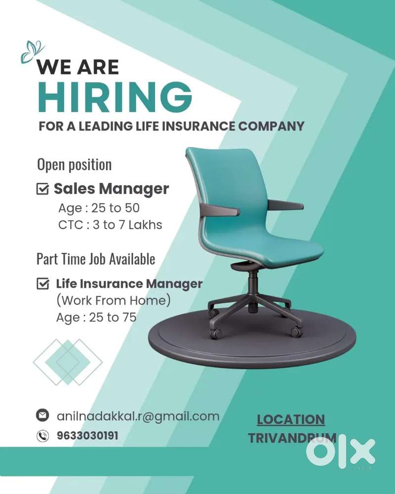 Sales Manager  Exicutive Sales Manager