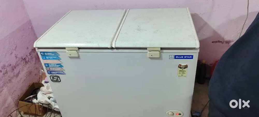 Blue star deep fridge 310L