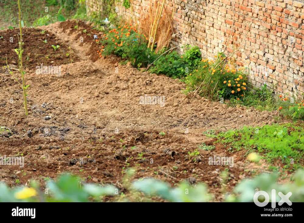 95 gaj plot one room bana hua hai