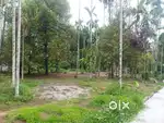 15 cent plot for sale in irinjalakuda