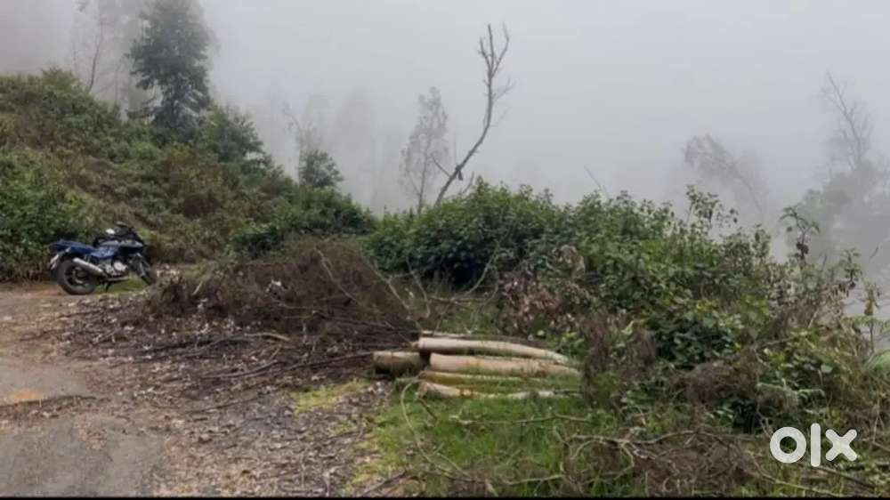 Kodaikanal -( mannavanur road side plot)