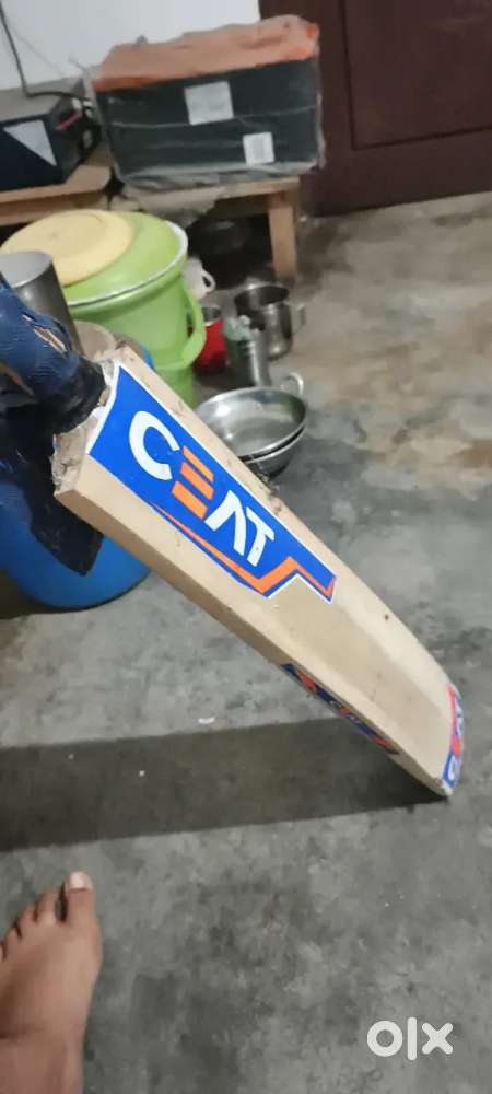 Cricket bat