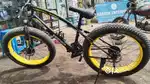 Fat tyre cycle for above 14