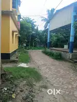 Big house sale low price