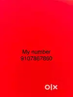 Iphone 13 128gb Indian