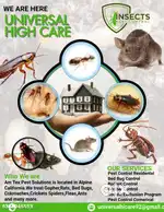 Pest control services