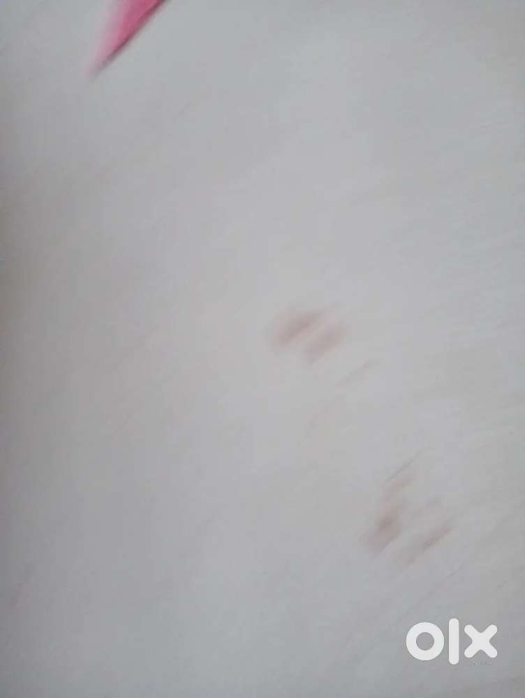 Need a female room mate