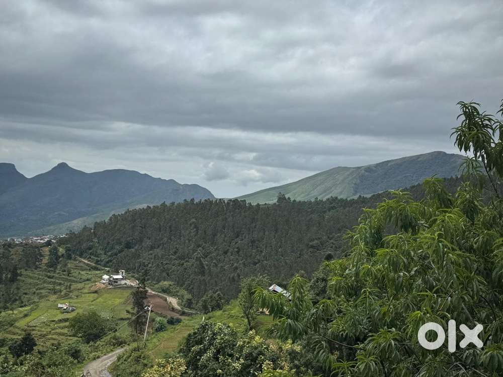 Land for sale in vilpatti , kodaikanal in just 8 kms