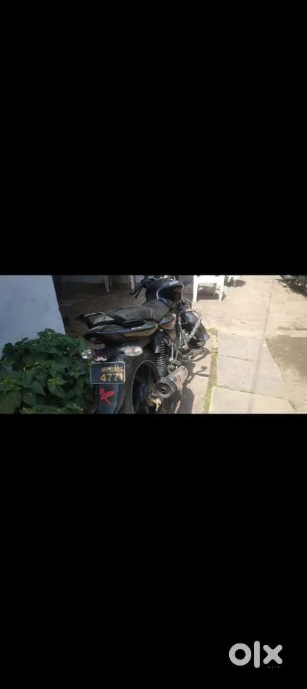 Urjint sell well mintine