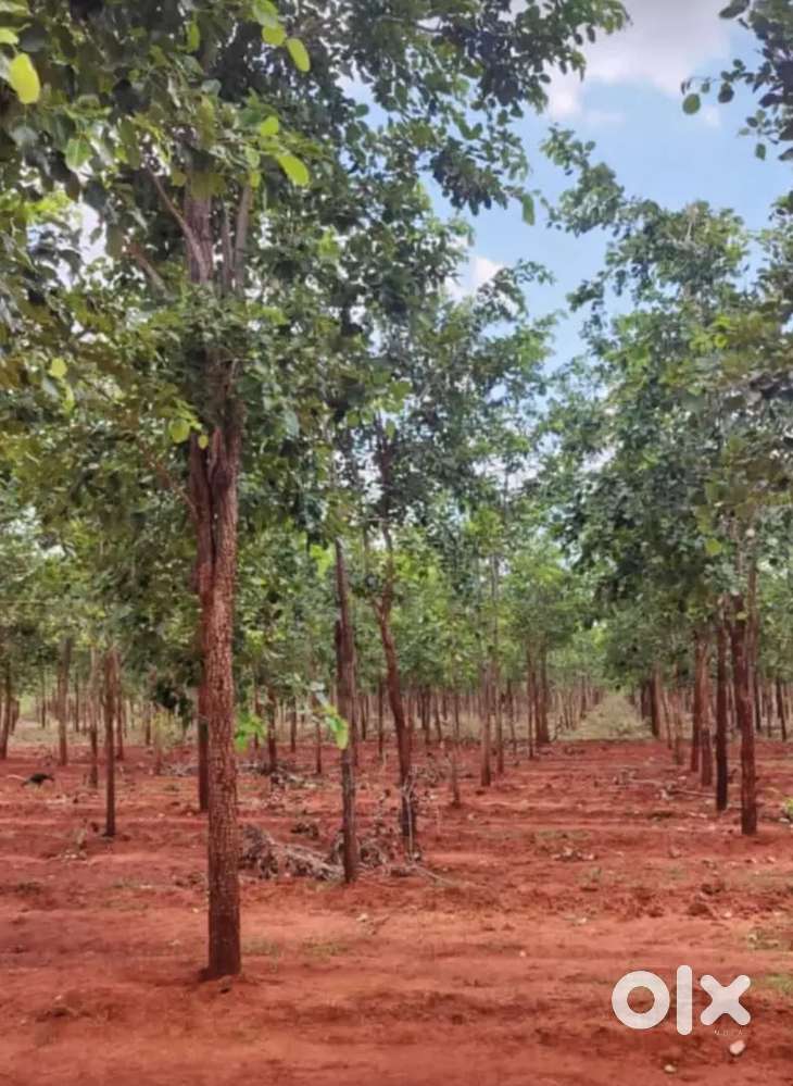 1acer Agriculture land for sale