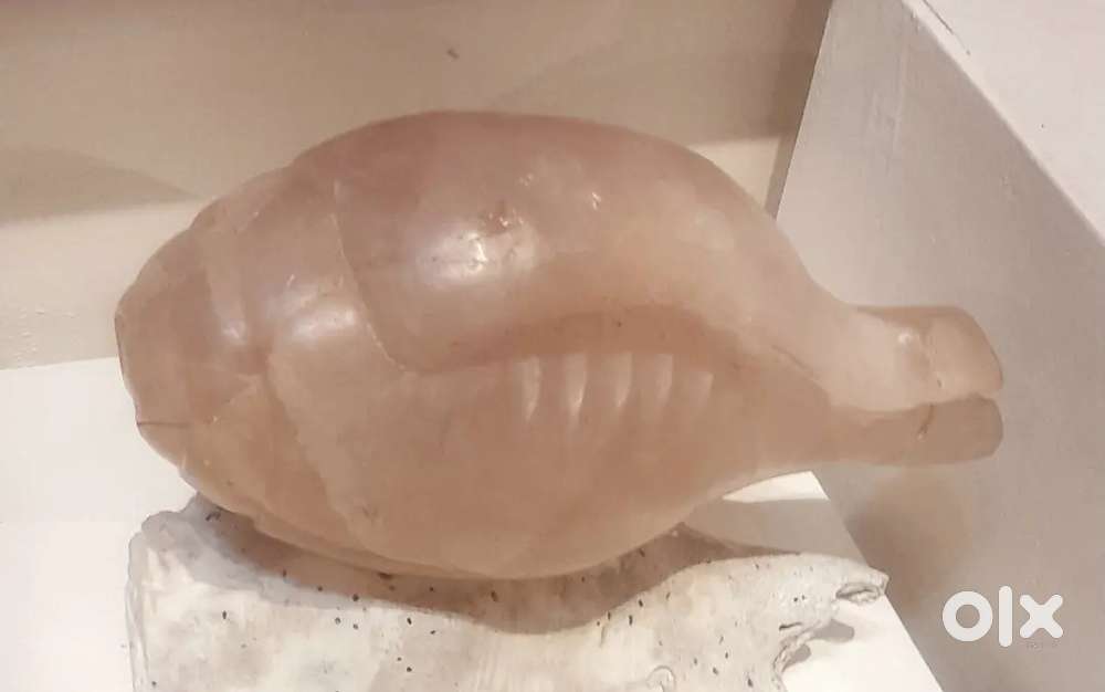 Conch Shell (Shankh ) of Quartz