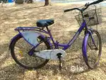 BSA Ladybird Diana 26 with extra cushion with lock, basket and carrier