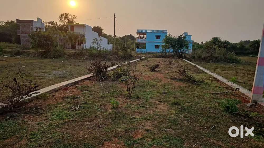 Karapolly naraynpur gharbari plots