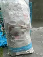 Canine creek adult 12.5kg