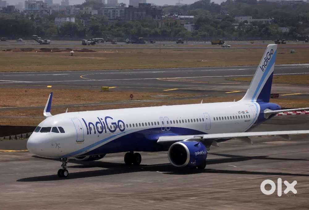 Freshers Female Condidate IndiGo Airlines