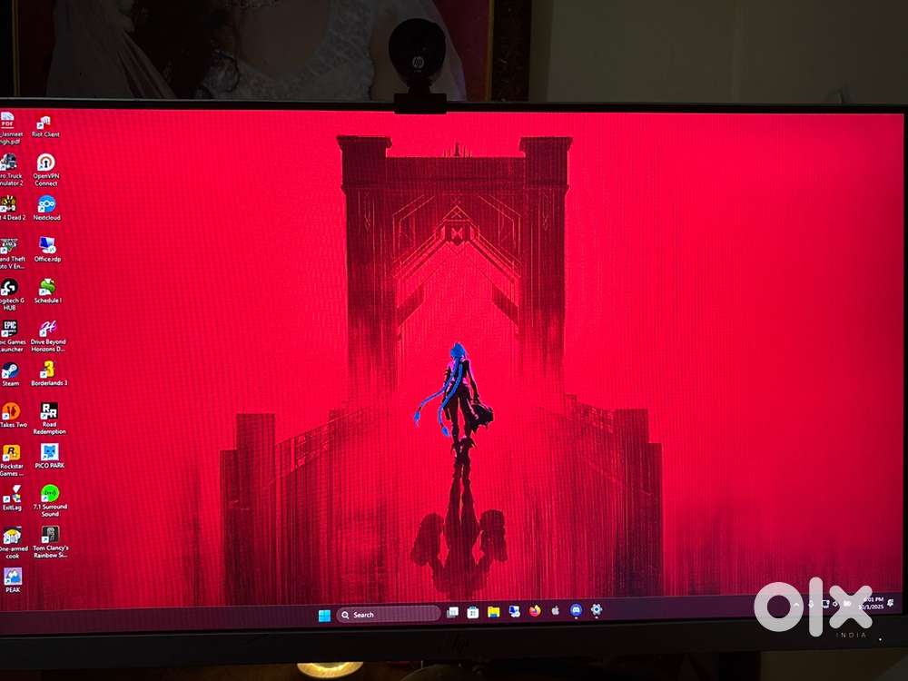 HP E243 Monitor
