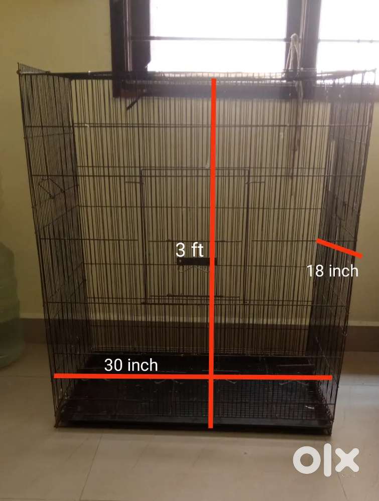Big size cage sale